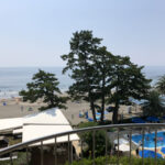 伊豆今井浜東急ホテルのプール夜景と海を望む風景（価格変動と予約タイミング解説記事用）