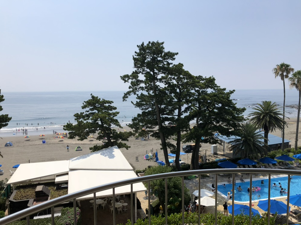 伊豆今井浜東急ホテルのプール夜景と海を望む風景（価格変動と予約タイミング解説記事用）